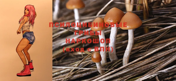 гашик Абаза