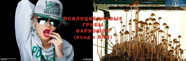 скорость Алзамай