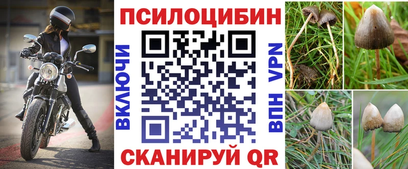 Галлюциногенные грибы MAGIC MUSHROOMS  Киржач 